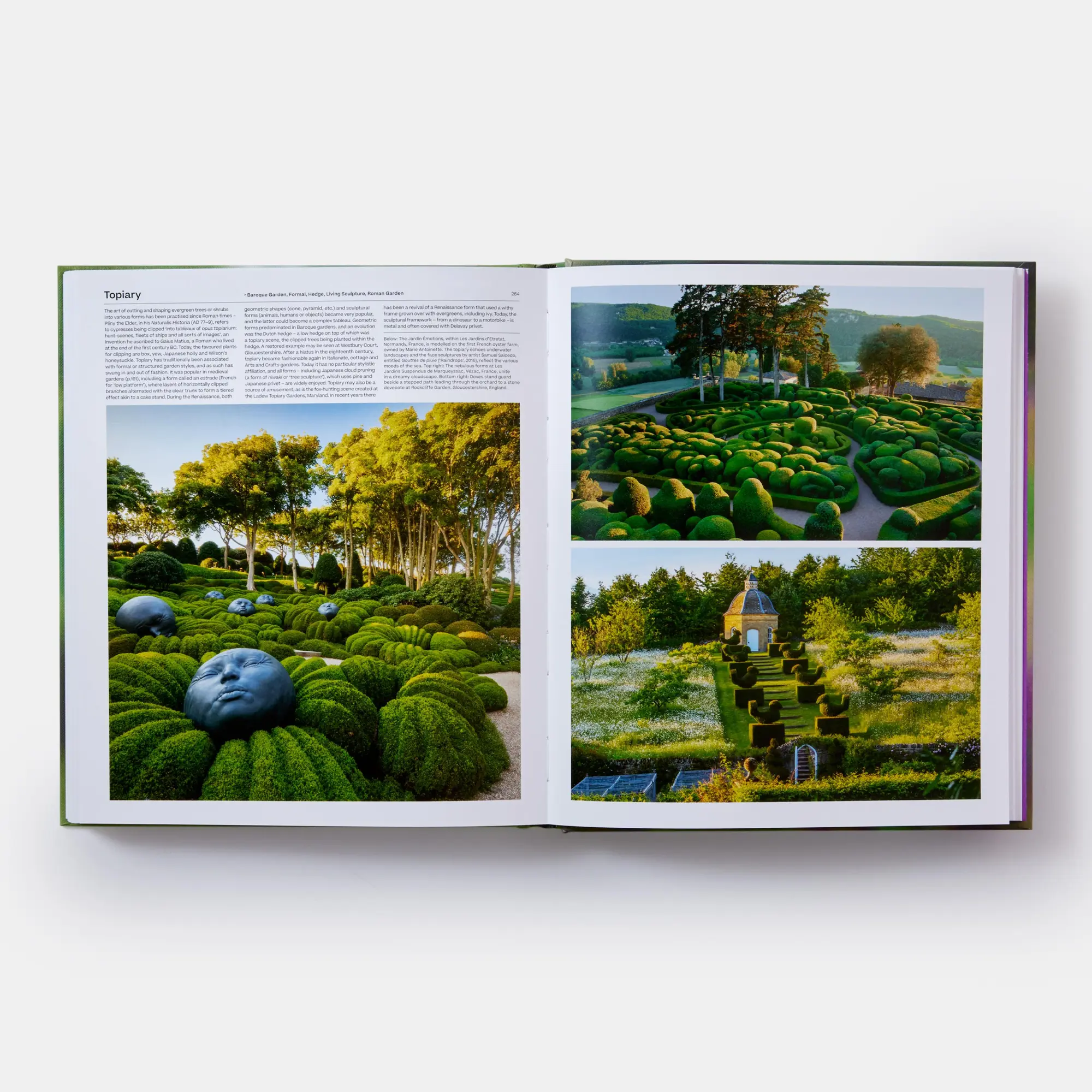 Bild: 9781838666163 | The Garden, Elements and Styles | Toby Musgrave | Buch | Phaidon Press