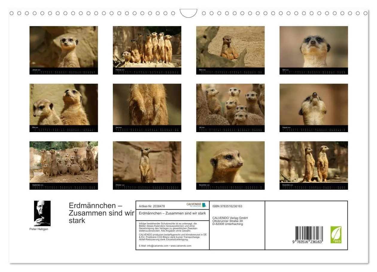 Bild: 9783516236163 | Erdmännchen - Zusammen sind wir stark (Wandkalender 2026 DIN A3...