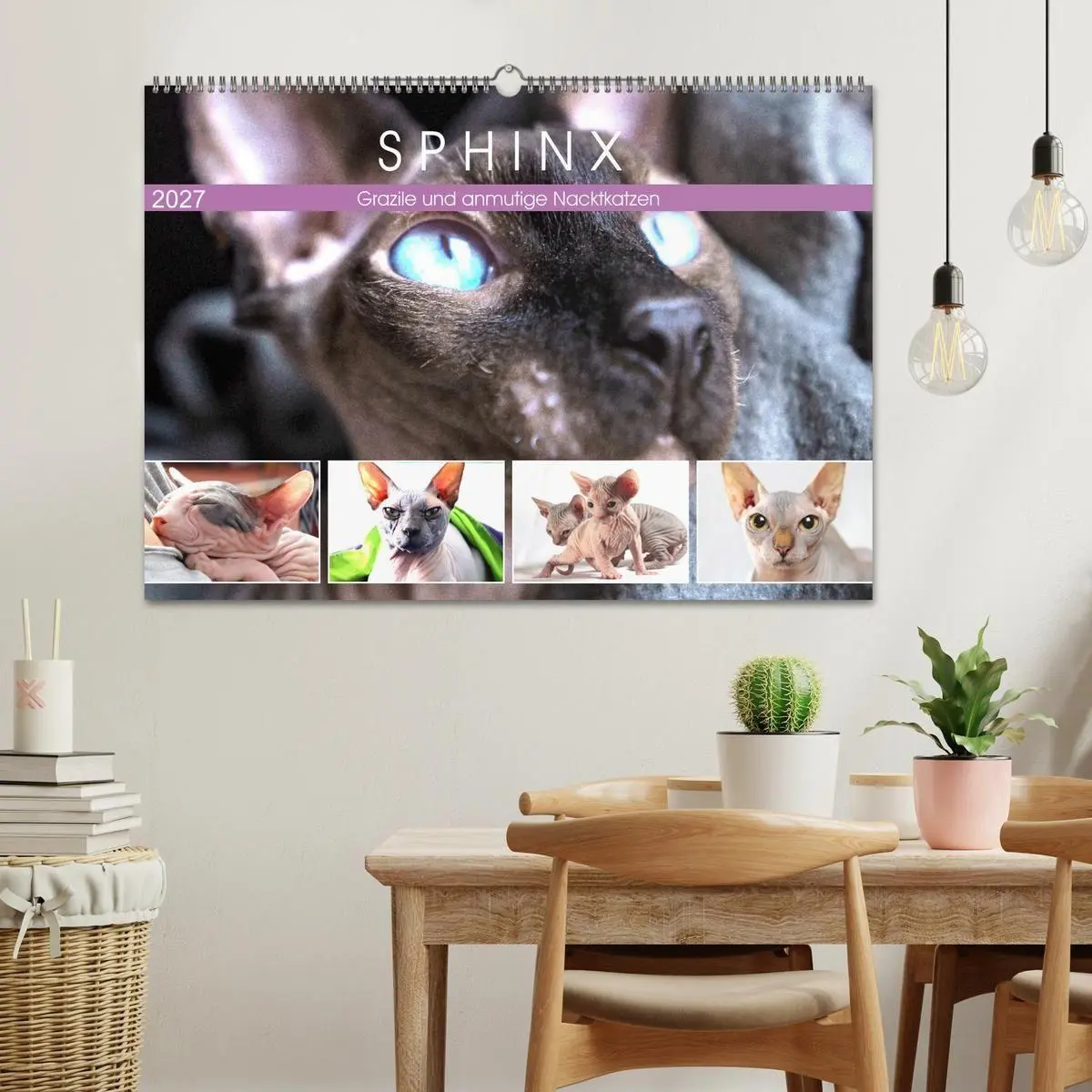 Bild: 9783569496163 | Sphinx. Grazile und anmutige Nacktkatzen (Wandkalender 2027 DIN A2...
