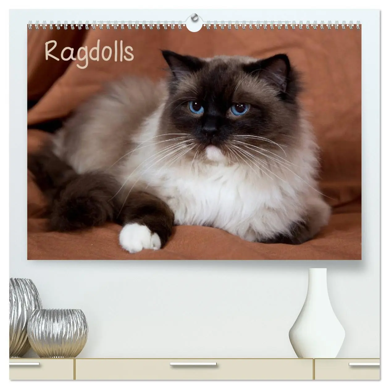Cover: 9783516156263 | Ragdolls (hochwertiger Premium Wandkalender 2026 DIN A2 quer),...