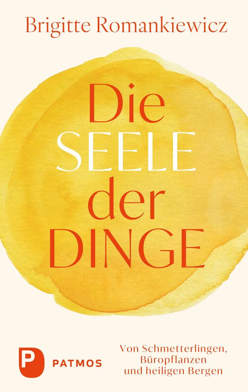 Cover: 9783843616263 | Die Seele der Dinge | Brigitte Romankiewicz | Buch | 144 S. | Deutsch
