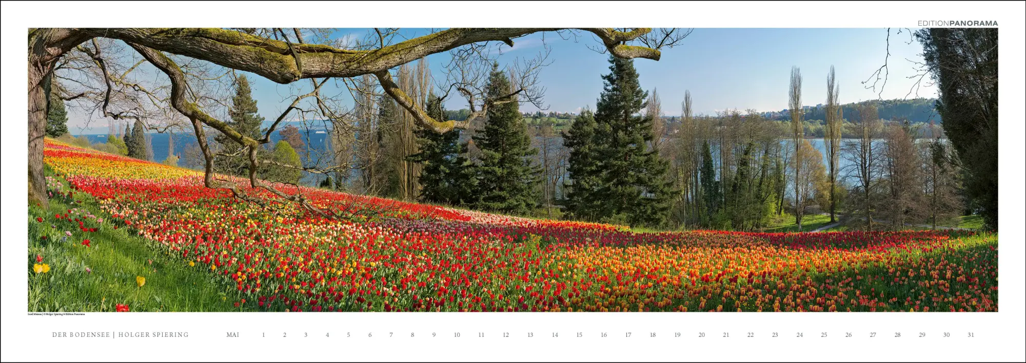 Bild: 9783898236263 | Der Bodensee | Immerwährender Panorama-Kalender, 110 x 39 cm | XIV