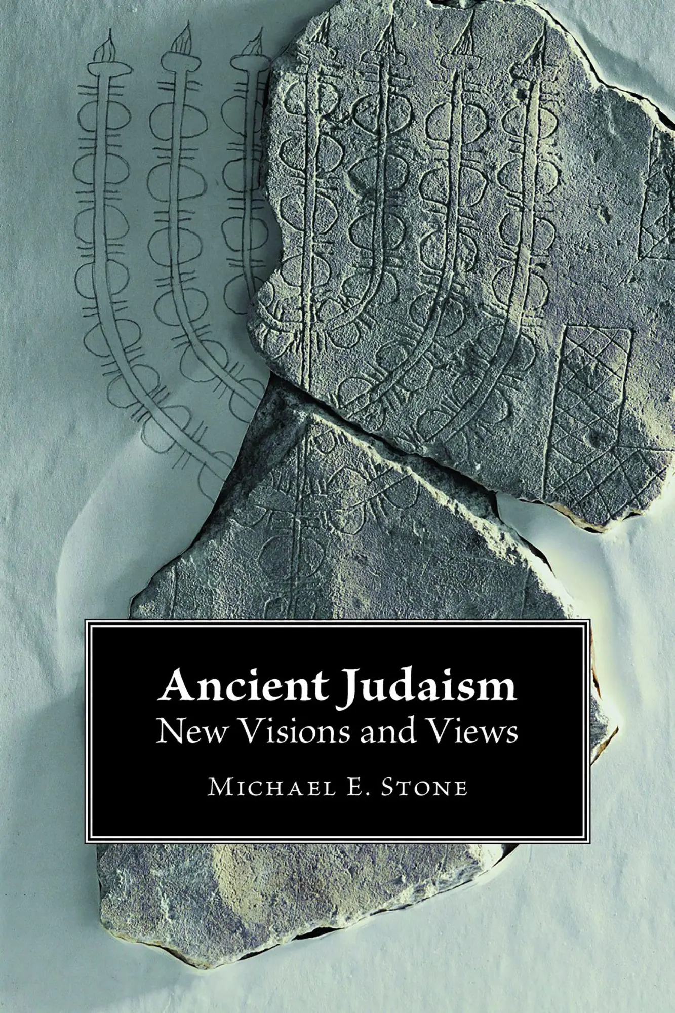 Cover: 9780802866363 | Ancient Judaism | New Visions and Views | Michael E. Stone | Buch