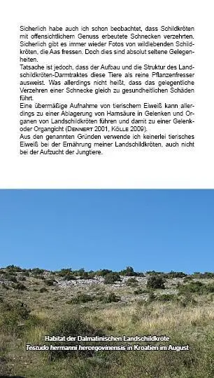 Bild: 9783000566363 | Landschildkröten-Futterpflanzen | 100 Wildkräuter einfach erkennen