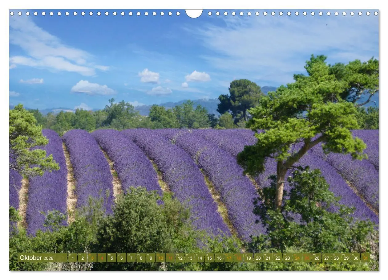 Bild: 9783457506363 | Der Duft von Lavendel (Wandkalender 2026 DIN A3 quer), CALVENDO...