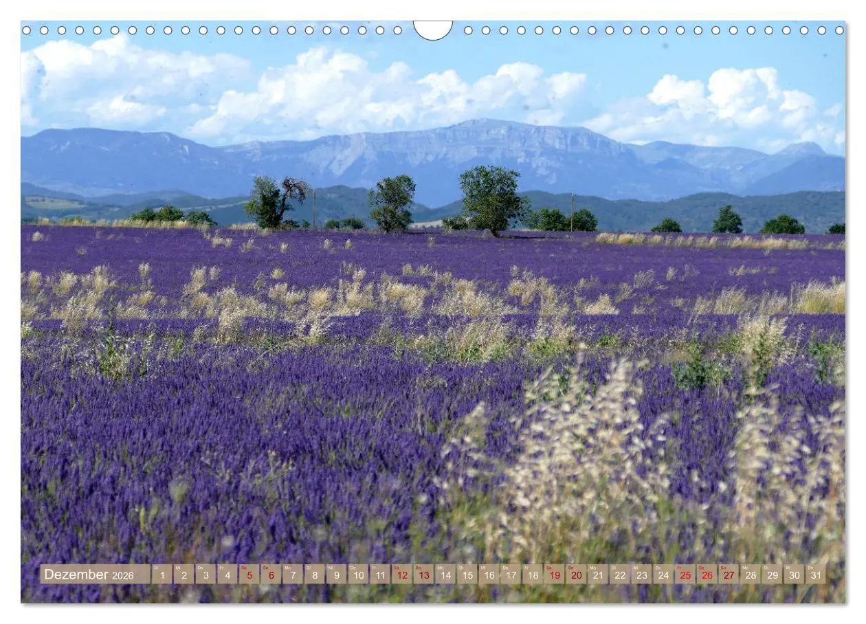 Bild: 9783457506363 | Der Duft von Lavendel (Wandkalender 2026 DIN A3 quer), CALVENDO...