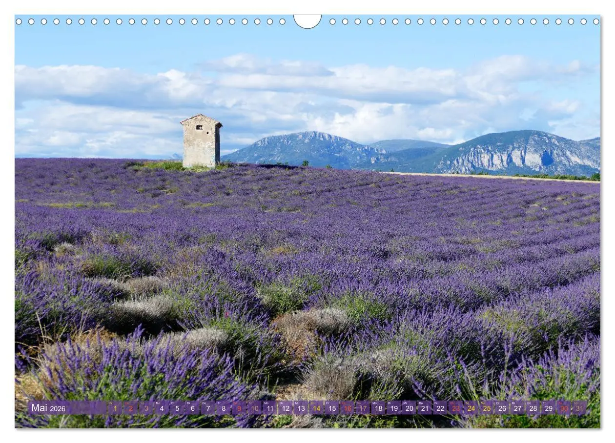 Bild: 9783457506363 | Der Duft von Lavendel (Wandkalender 2026 DIN A3 quer), CALVENDO...