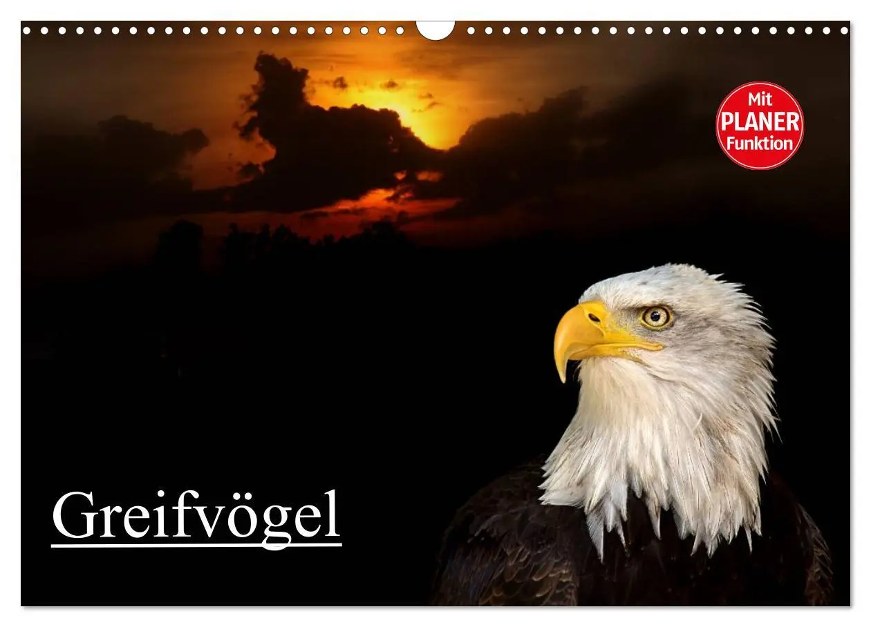Cover: 9783457986363 | Greifvögel (Wandkalender 2026 DIN A3 quer), CALVENDO Monatskalender