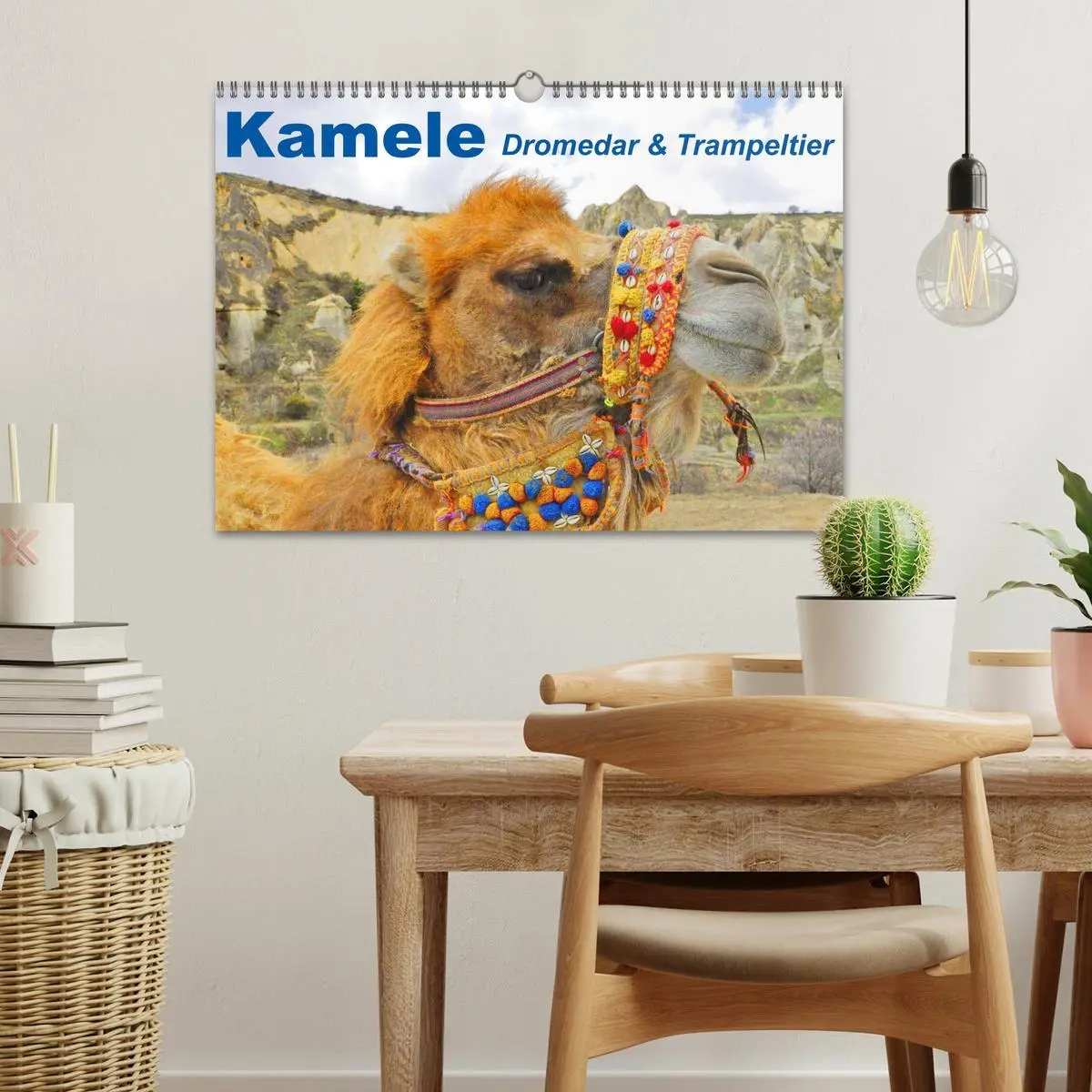 Bild: 9783516146363 | Kamele ¿ Dromedar &amp; Trampeltier (Wandkalender 2026 DIN A3 quer),...