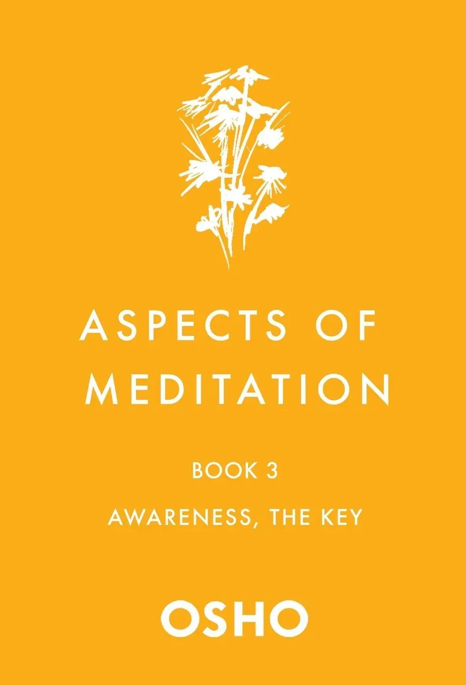 Cover: 9781250786463 | Aspects of Meditation Book 3 | Osho | Taschenbuch | Englisch | 2022