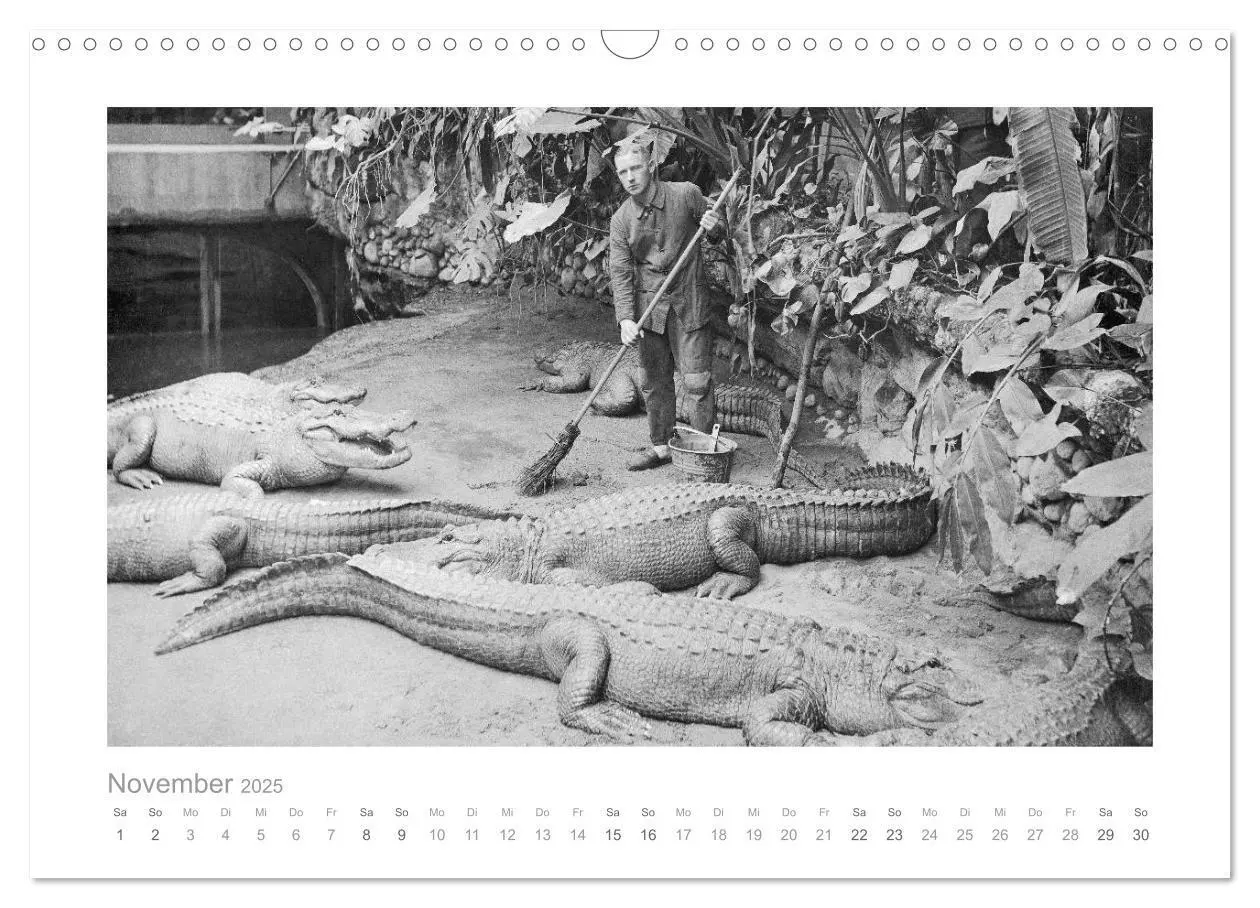 Bild: 9783435646463 | Leben in Berlin um 1900 - Fotografie von Haeckel (Wandkalender 2025...
