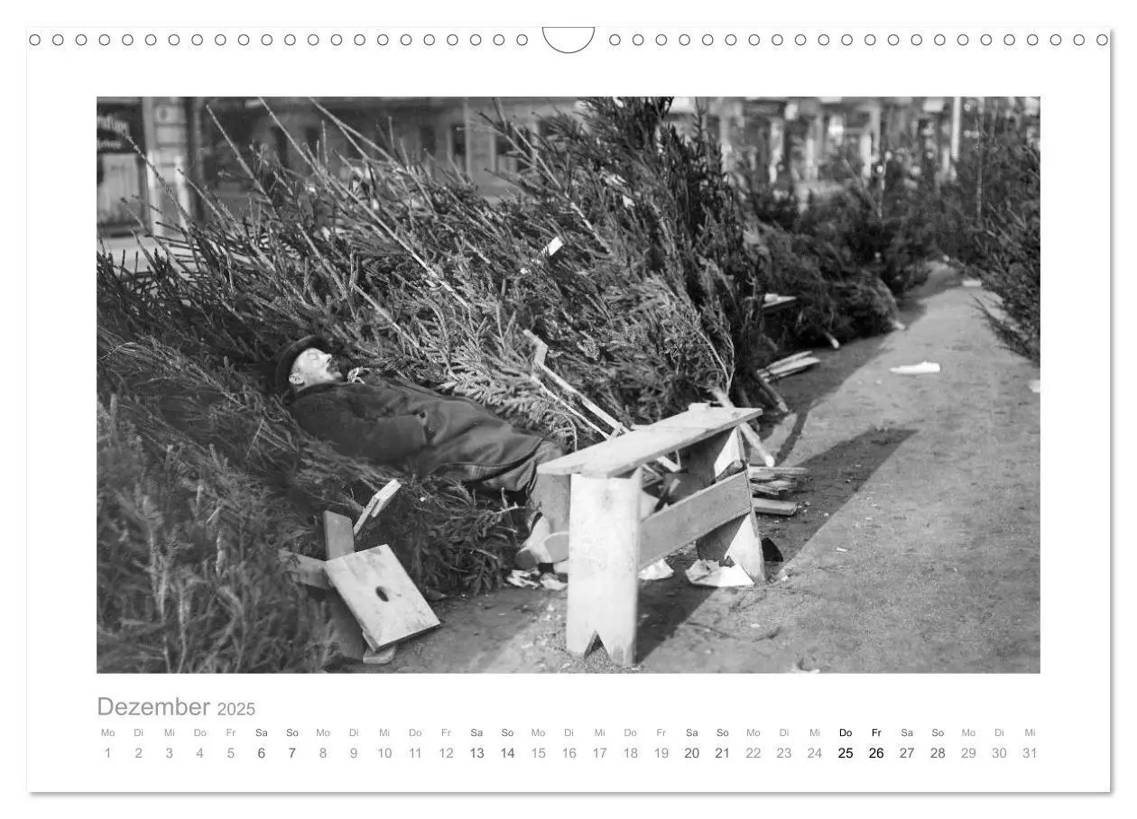 Bild: 9783435646463 | Leben in Berlin um 1900 - Fotografie von Haeckel (Wandkalender 2025...
