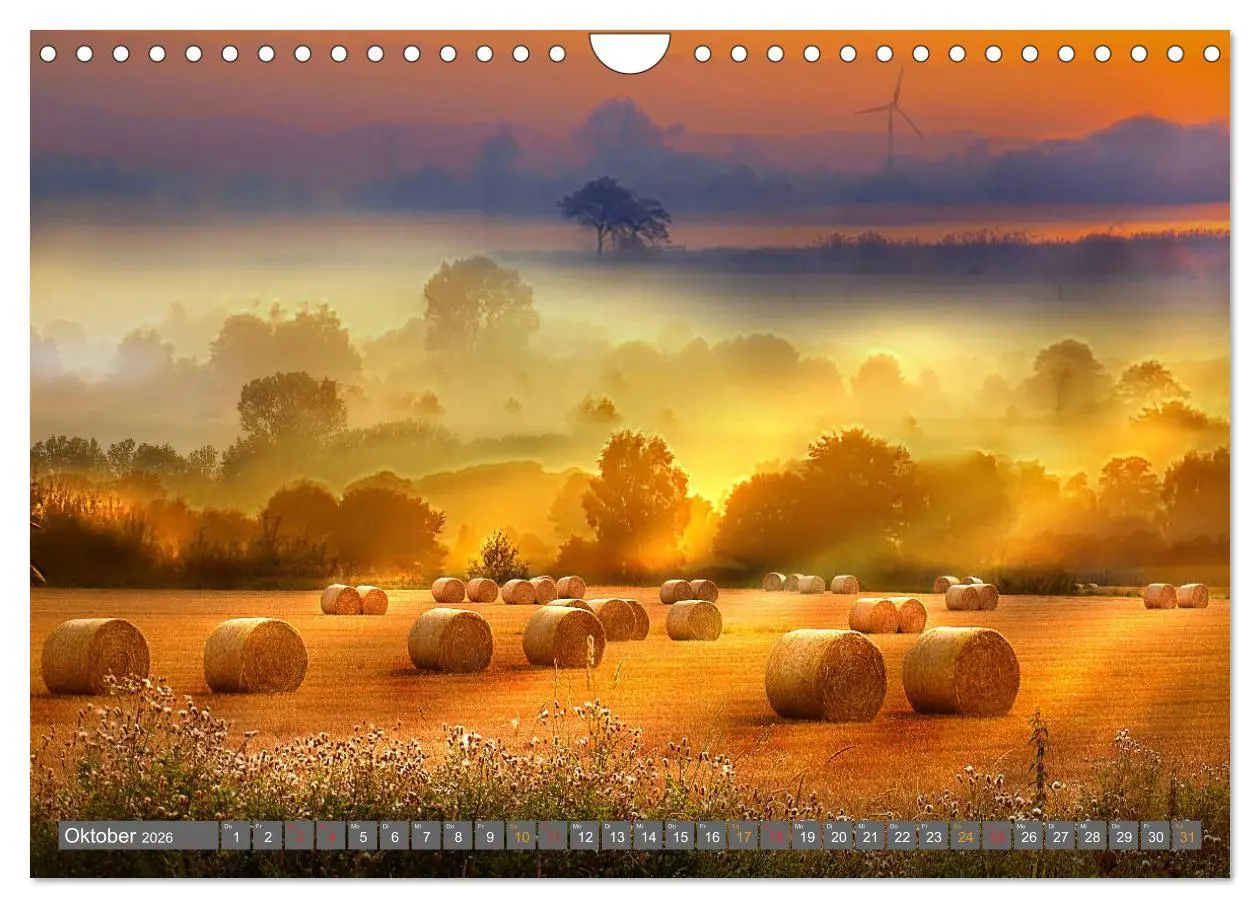 Bild: 9783516206463 | Friesland, verzauberte Landschaft an der Nordsee (Wandkalender 2026...