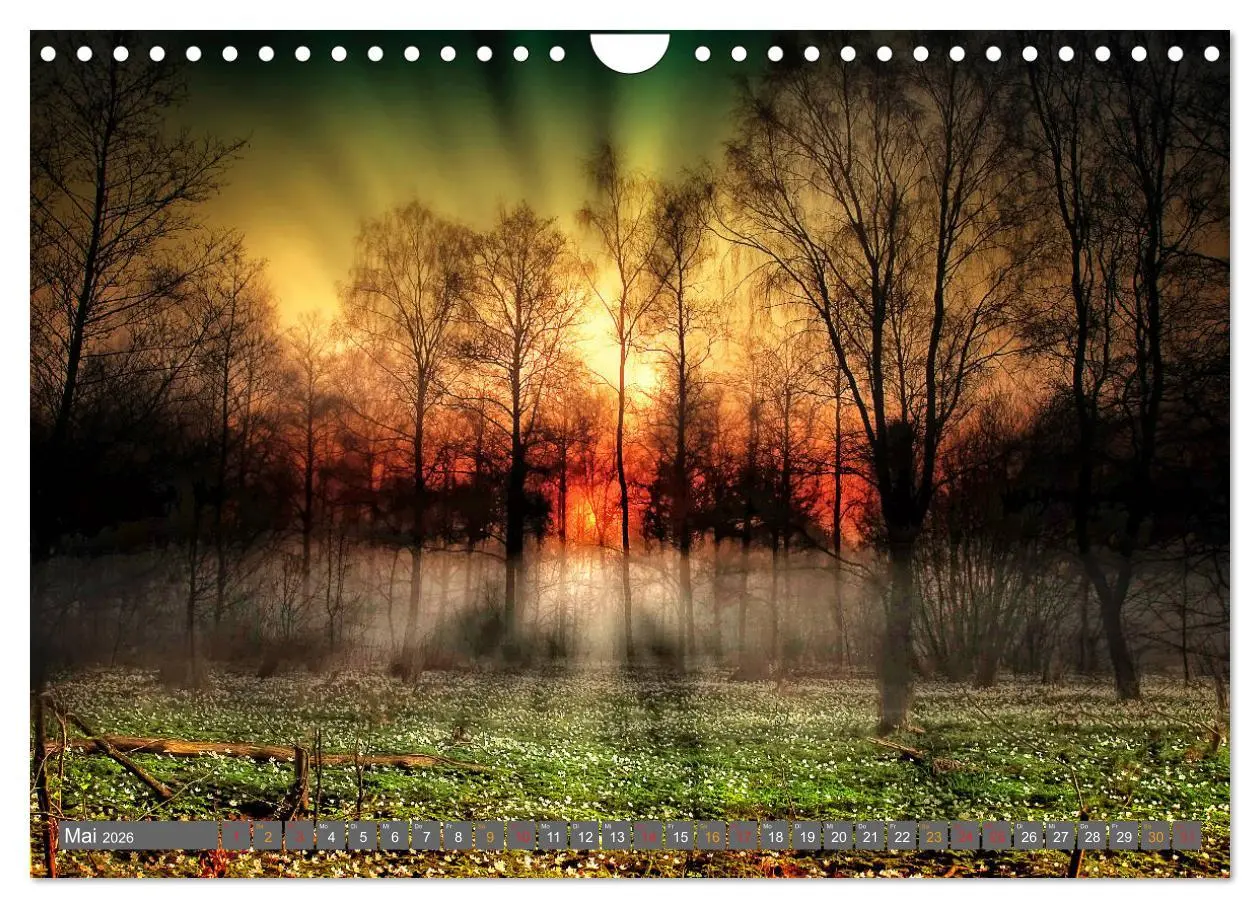 Bild: 9783516206463 | Friesland, verzauberte Landschaft an der Nordsee (Wandkalender 2026...