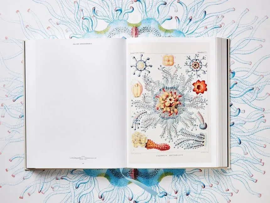 Bild: 9783836526463 | The Art and Science of Ernst Haeckel | Julia Voss (u. a.) | Buch