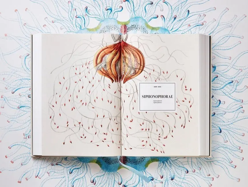 Bild: 9783836526463 | The Art and Science of Ernst Haeckel | Julia Voss (u. a.) | Buch
