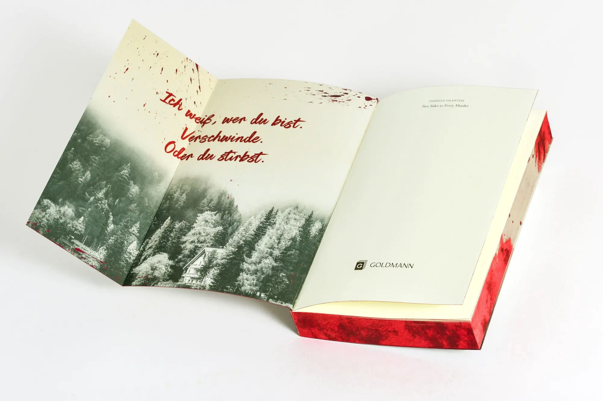 Bild: 9783442496563 | Two Sides to Every Murder | Danielle Valentine | Taschenbuch | 320 S.