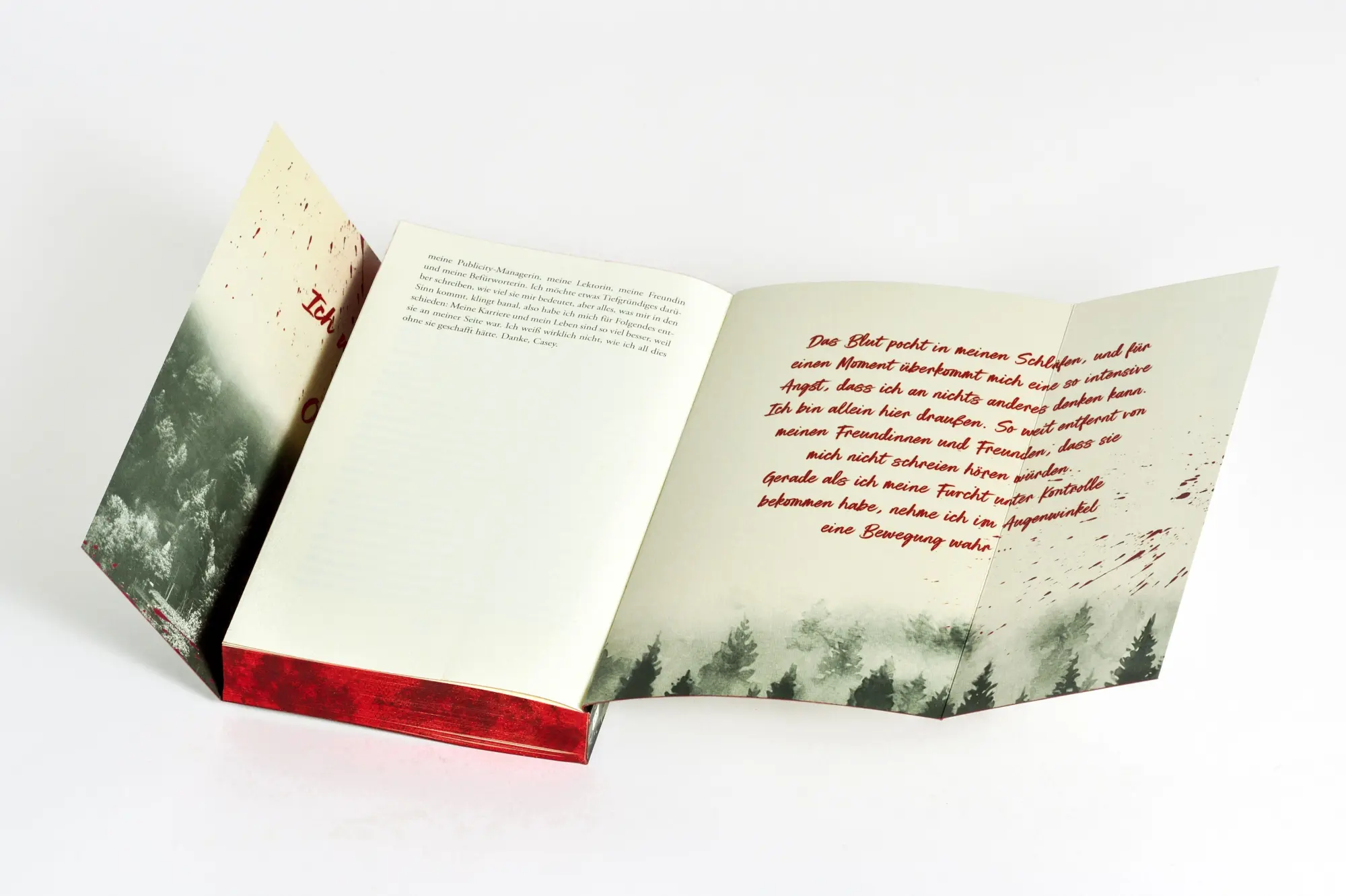 Bild: 9783442496563 | Two Sides to Every Murder | Danielle Valentine | Taschenbuch | 320 S.