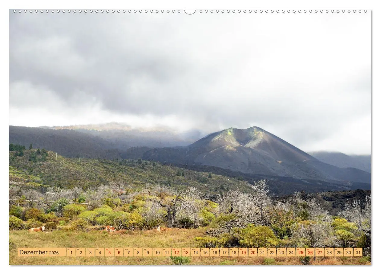 Bild: 9783457416563 | La Palma - der Vulkan Tajogaite (hochwertiger Premium Wandkalender...