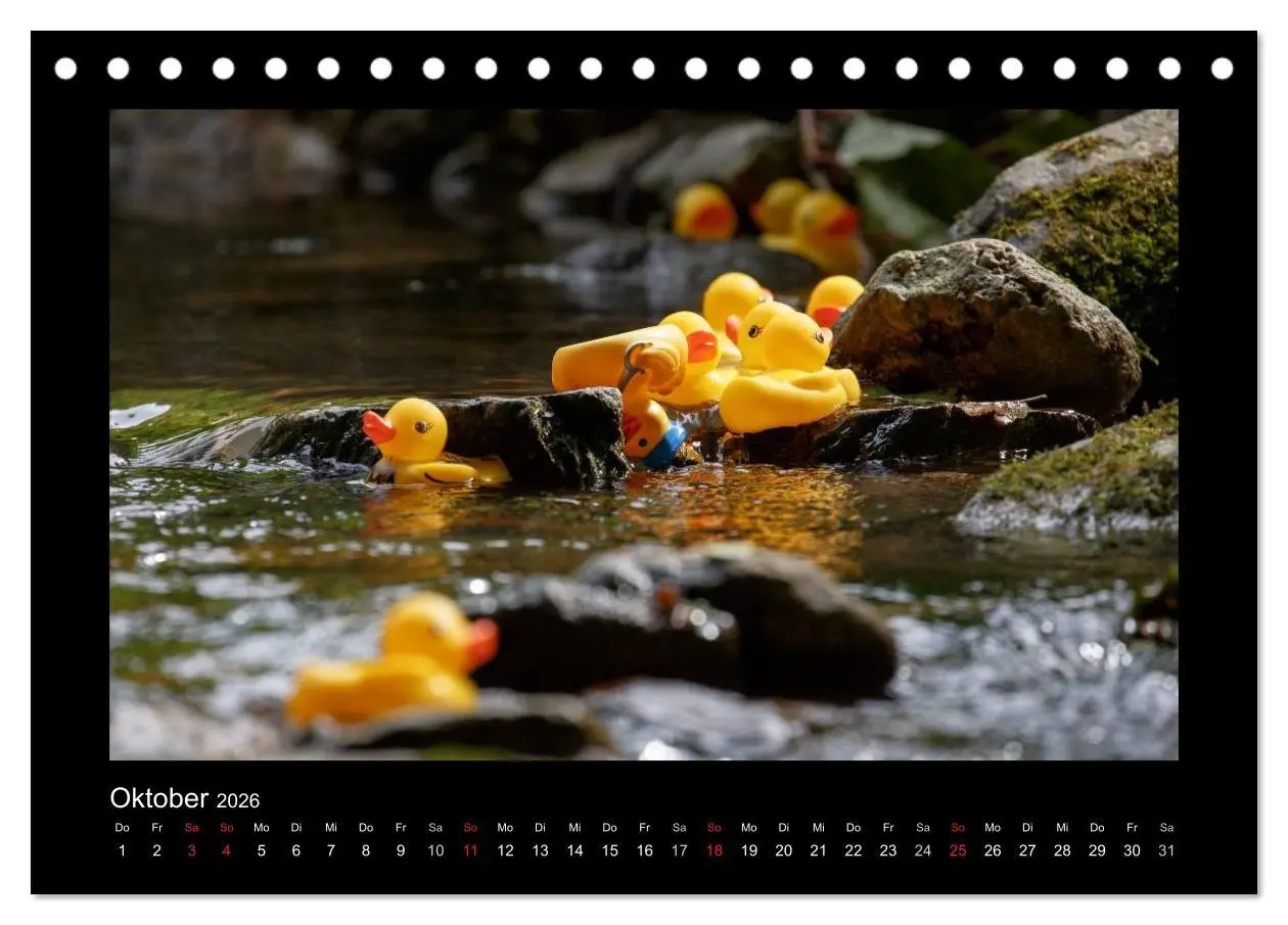 Bild: 9783516126563 | Enten-Rennen (Tischkalender 2026 DIN A5 quer), CALVENDO Monatskalender