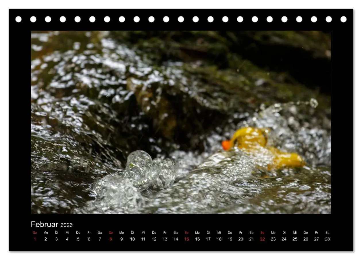 Bild: 9783516126563 | Enten-Rennen (Tischkalender 2026 DIN A5 quer), CALVENDO Monatskalender