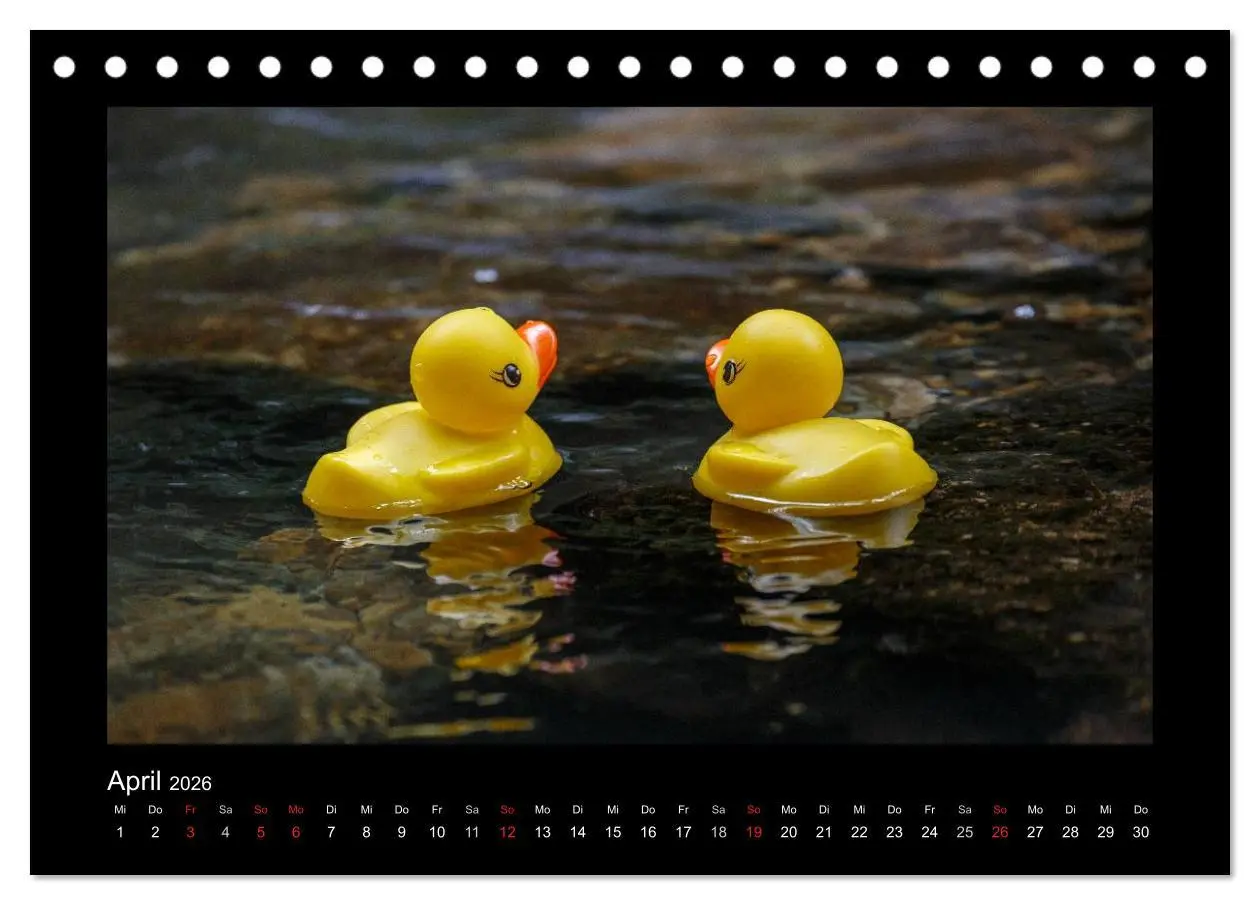 Bild: 9783516126563 | Enten-Rennen (Tischkalender 2026 DIN A5 quer), CALVENDO Monatskalender