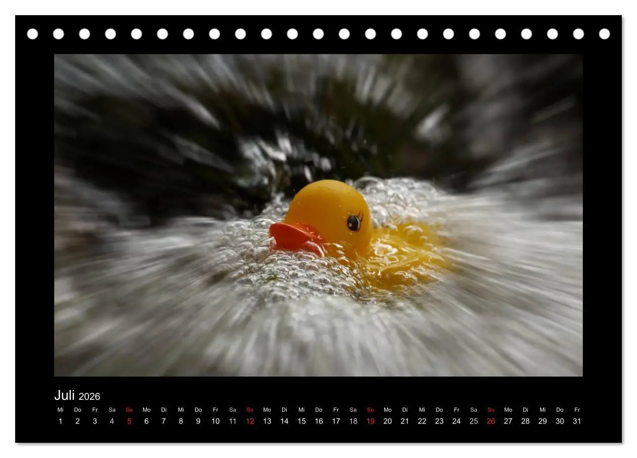 Bild: 9783516126563 | Enten-Rennen (Tischkalender 2026 DIN A5 quer), CALVENDO Monatskalender
