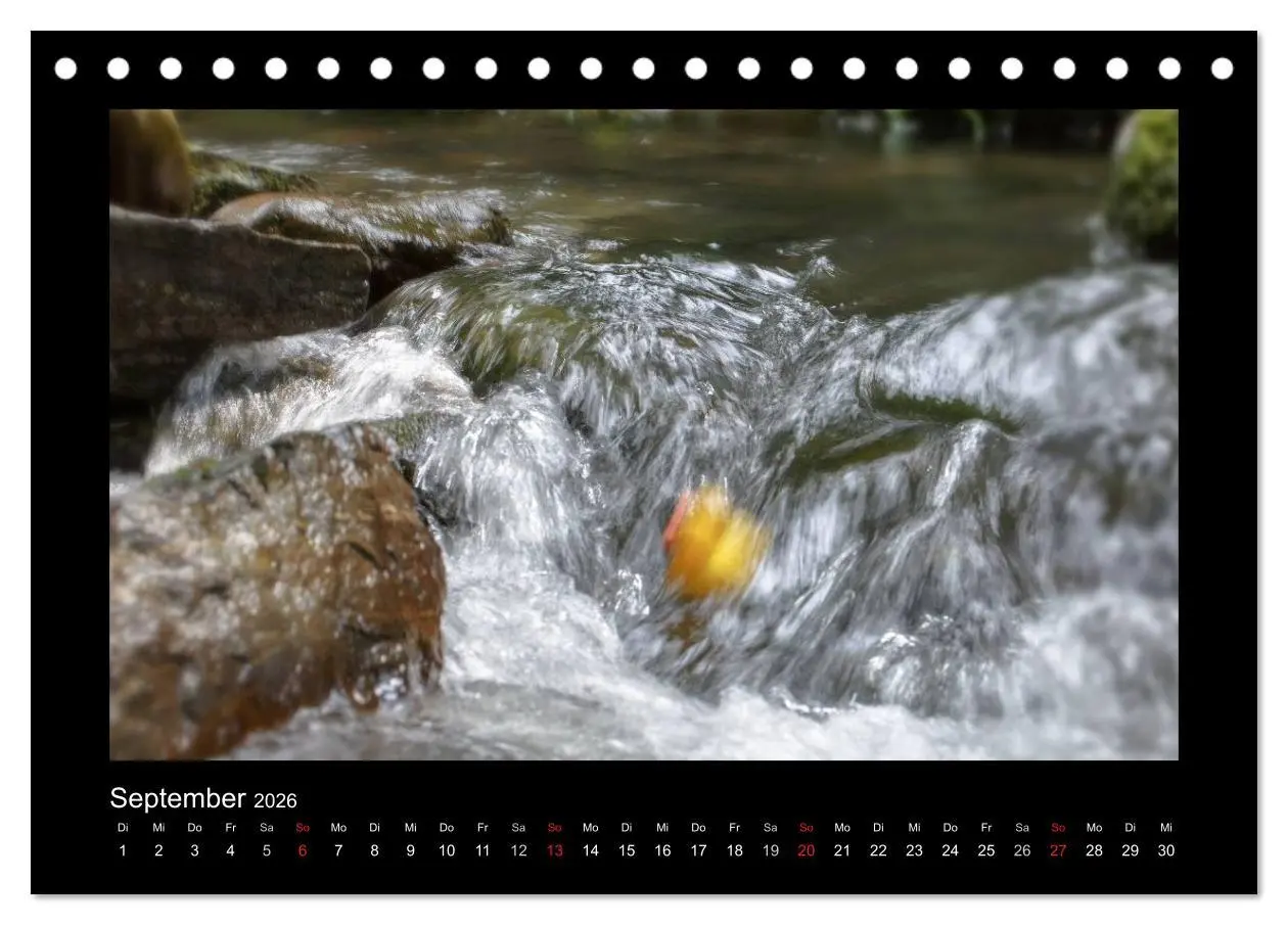 Bild: 9783516126563 | Enten-Rennen (Tischkalender 2026 DIN A5 quer), CALVENDO Monatskalender