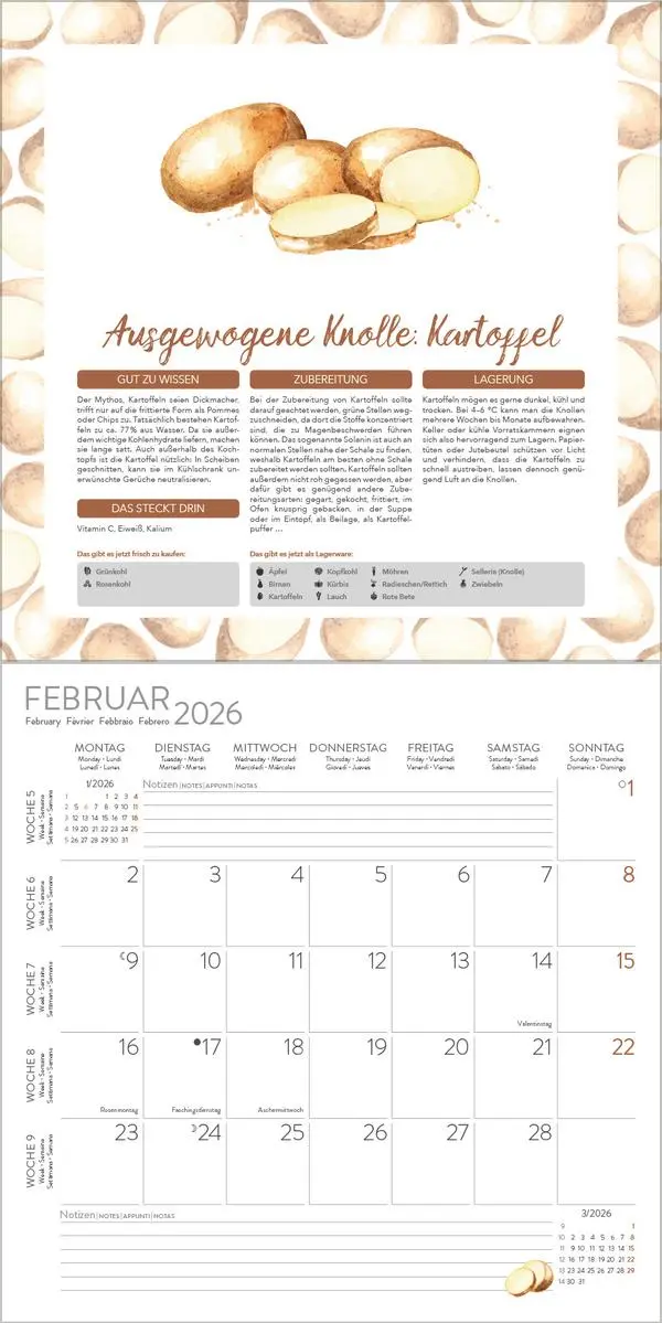 Bild: 9783731886563 | Saisonal genießen 2026 | Verlag Korsch | Kalender | 13 S. | Deutsch