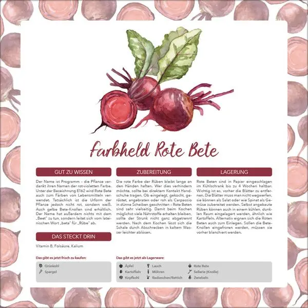 Bild: 9783731886563 | Saisonal genießen 2026 | Verlag Korsch | Kalender | 13 S. | Deutsch
