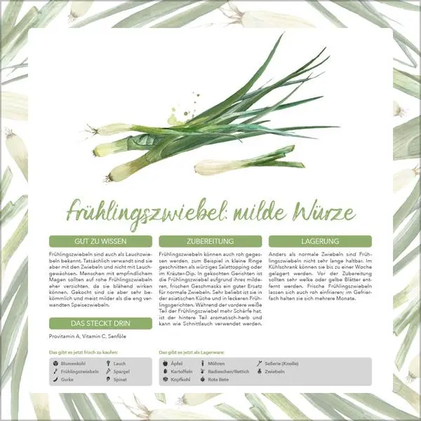 Bild: 9783731886563 | Saisonal genießen 2026 | Verlag Korsch | Kalender | 13 S. | Deutsch