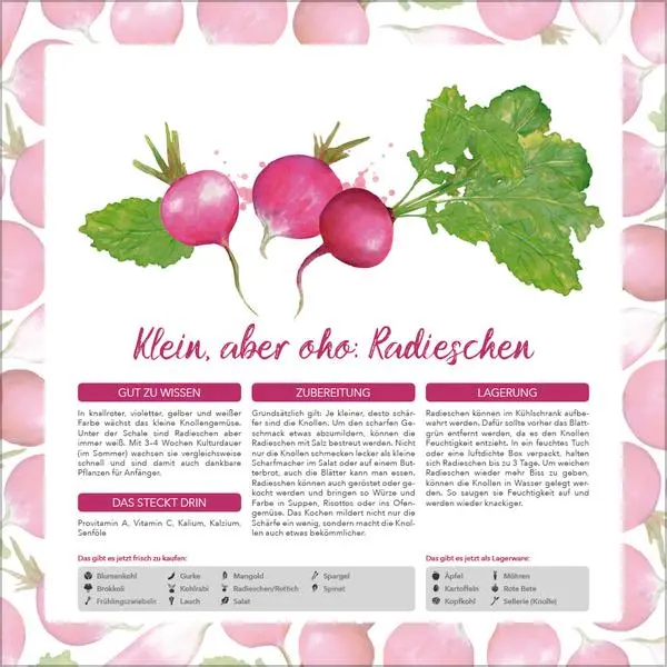 Bild: 9783731886563 | Saisonal genießen 2026 | Verlag Korsch | Kalender | 13 S. | Deutsch