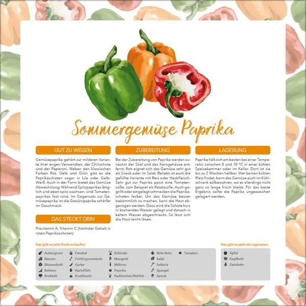 Bild: 9783731886563 | Saisonal genießen 2026 | Verlag Korsch | Kalender | 13 S. | Deutsch