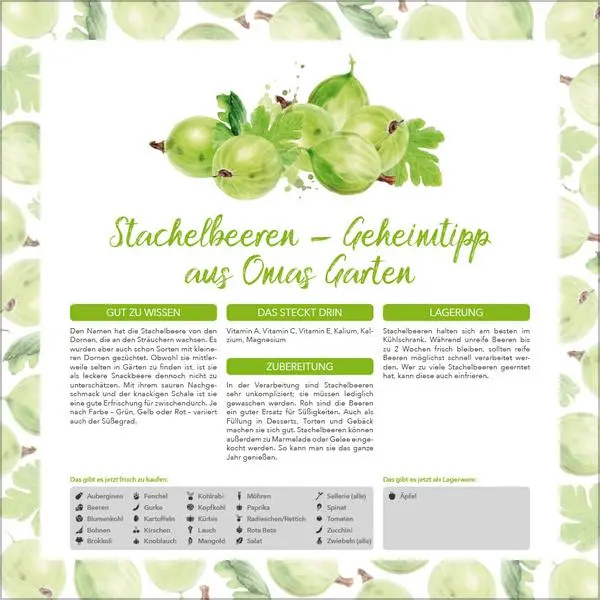 Bild: 9783731886563 | Saisonal genießen 2026 | Verlag Korsch | Kalender | 13 S. | Deutsch