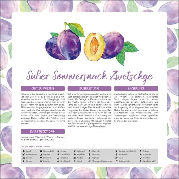 Bild: 9783731886563 | Saisonal genießen 2026 | Verlag Korsch | Kalender | 13 S. | Deutsch