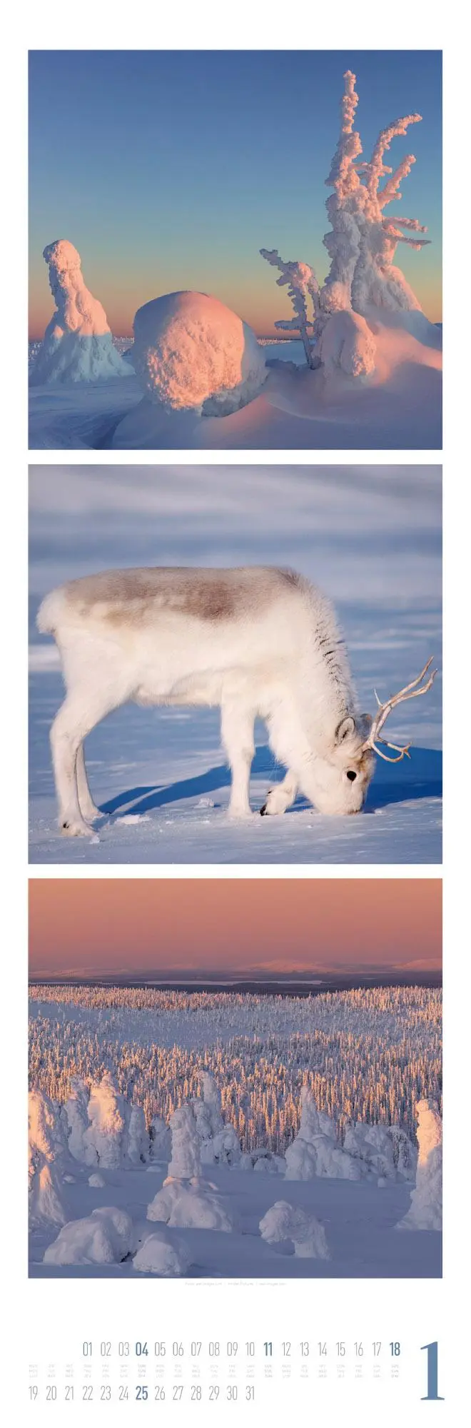 Bild: 9783838426563 | Nature Triplet-Kalender 2026 | Ackermann Kunstverlag GmbH | Kalender