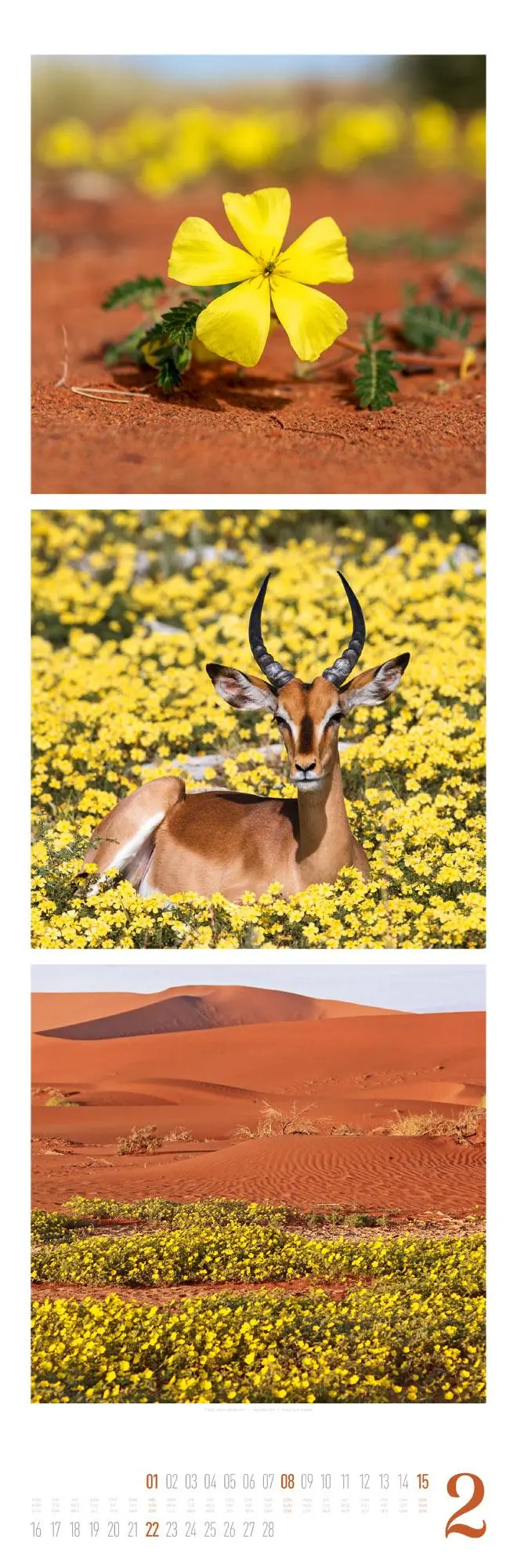 Bild: 9783838426563 | Nature Triplet-Kalender 2026 | Ackermann Kunstverlag GmbH | Kalender