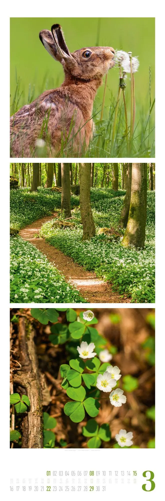 Bild: 9783838426563 | Nature Triplet-Kalender 2026 | Ackermann Kunstverlag GmbH | Kalender