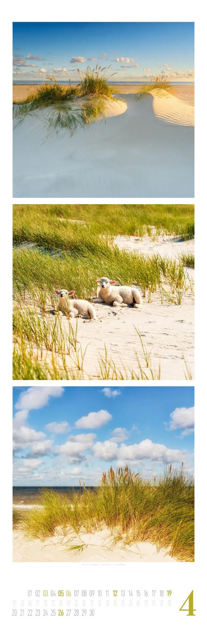 Bild: 9783838426563 | Nature Triplet-Kalender 2026 | Ackermann Kunstverlag GmbH | Kalender