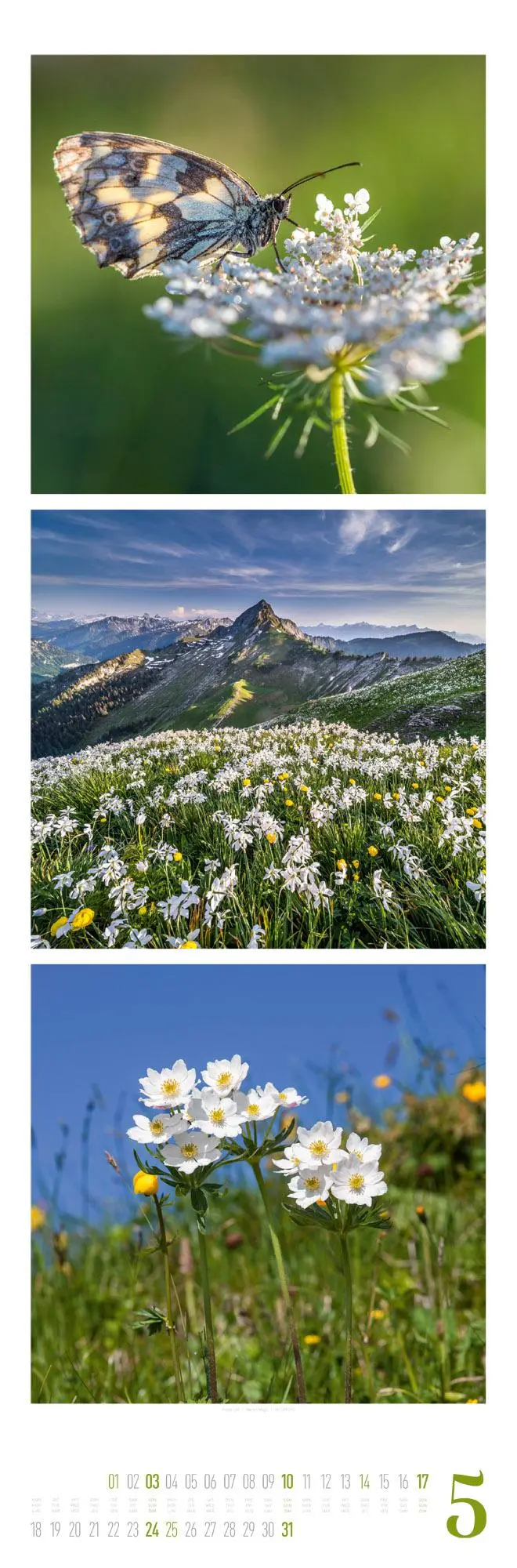 Bild: 9783838426563 | Nature Triplet-Kalender 2026 | Ackermann Kunstverlag GmbH | Kalender