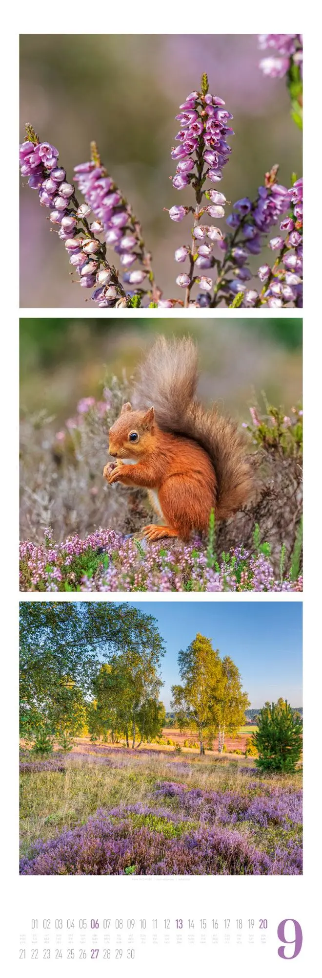 Bild: 9783838426563 | Nature Triplet-Kalender 2026 | Ackermann Kunstverlag GmbH | Kalender
