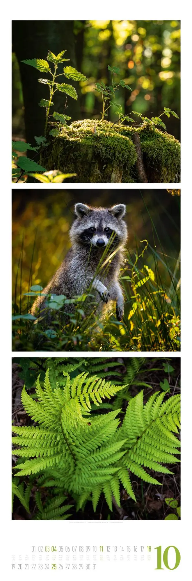 Bild: 9783838426563 | Nature Triplet-Kalender 2026 | Ackermann Kunstverlag GmbH | Kalender
