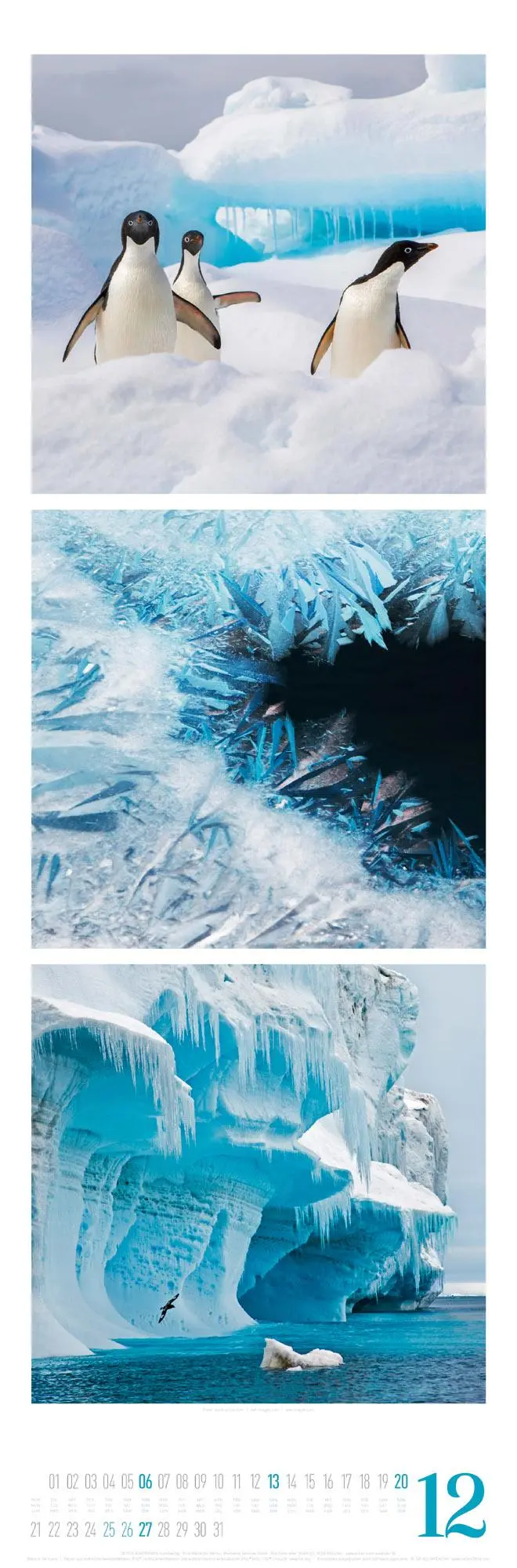 Bild: 9783838426563 | Nature Triplet-Kalender 2026 | Ackermann Kunstverlag GmbH | Kalender