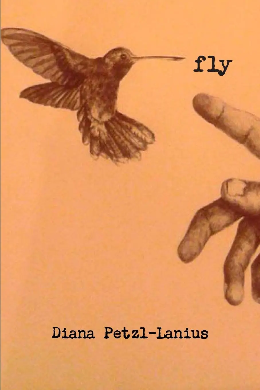 Cover: 9781329136663 | fly | Diana Petzl-Lanius | Taschenbuch | Kartoniert / Broschiert