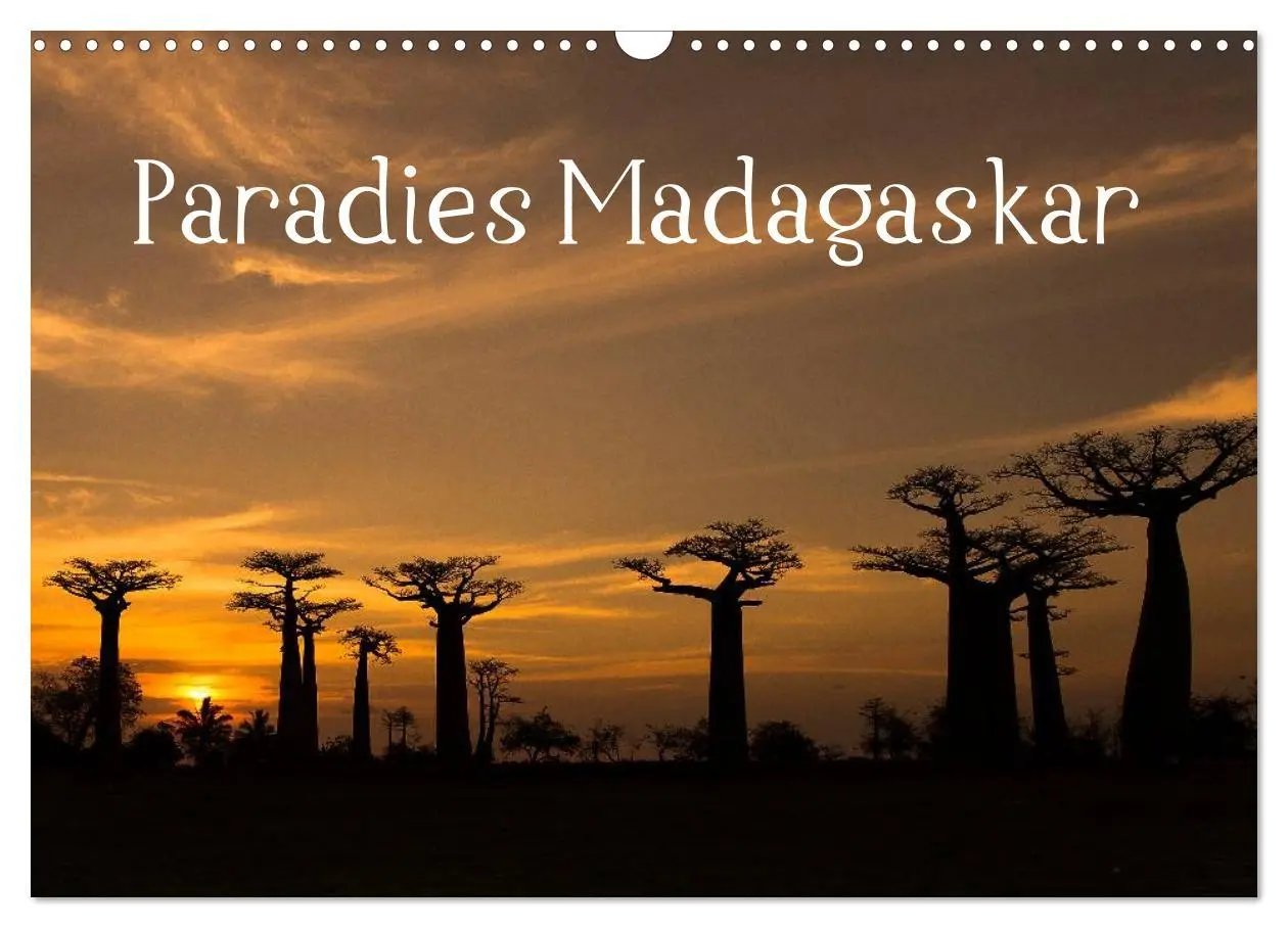 Cover: 9783516046663 | Paradies Madagaskar (Wandkalender 2026 DIN A3 quer), CALVENDO...