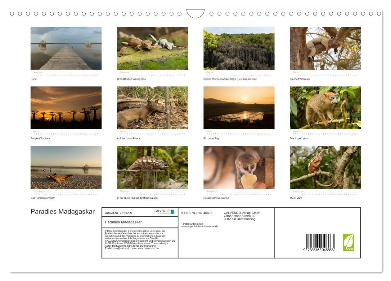 Bild: 9783516046663 | Paradies Madagaskar (Wandkalender 2026 DIN A3 quer), CALVENDO...