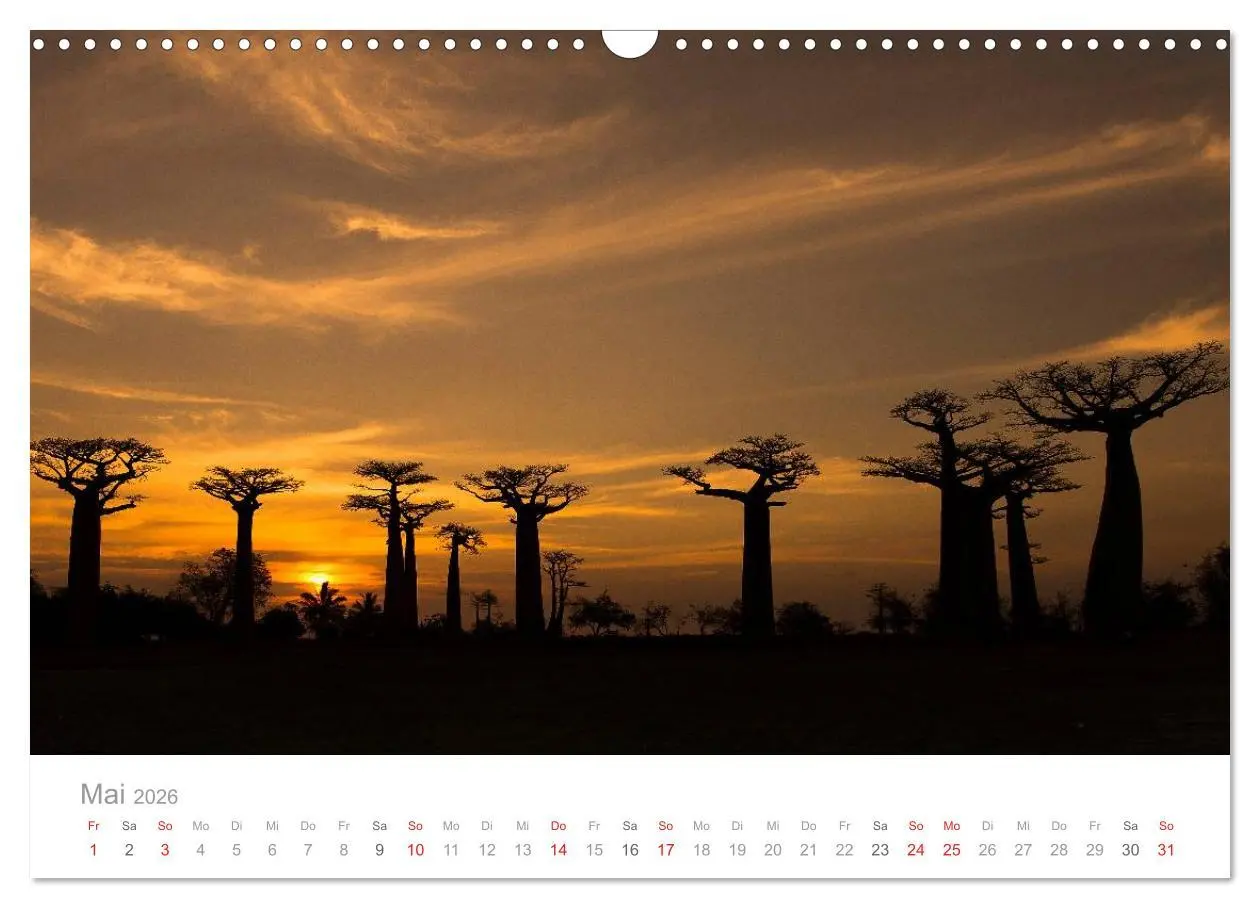 Bild: 9783516046663 | Paradies Madagaskar (Wandkalender 2026 DIN A3 quer), CALVENDO...