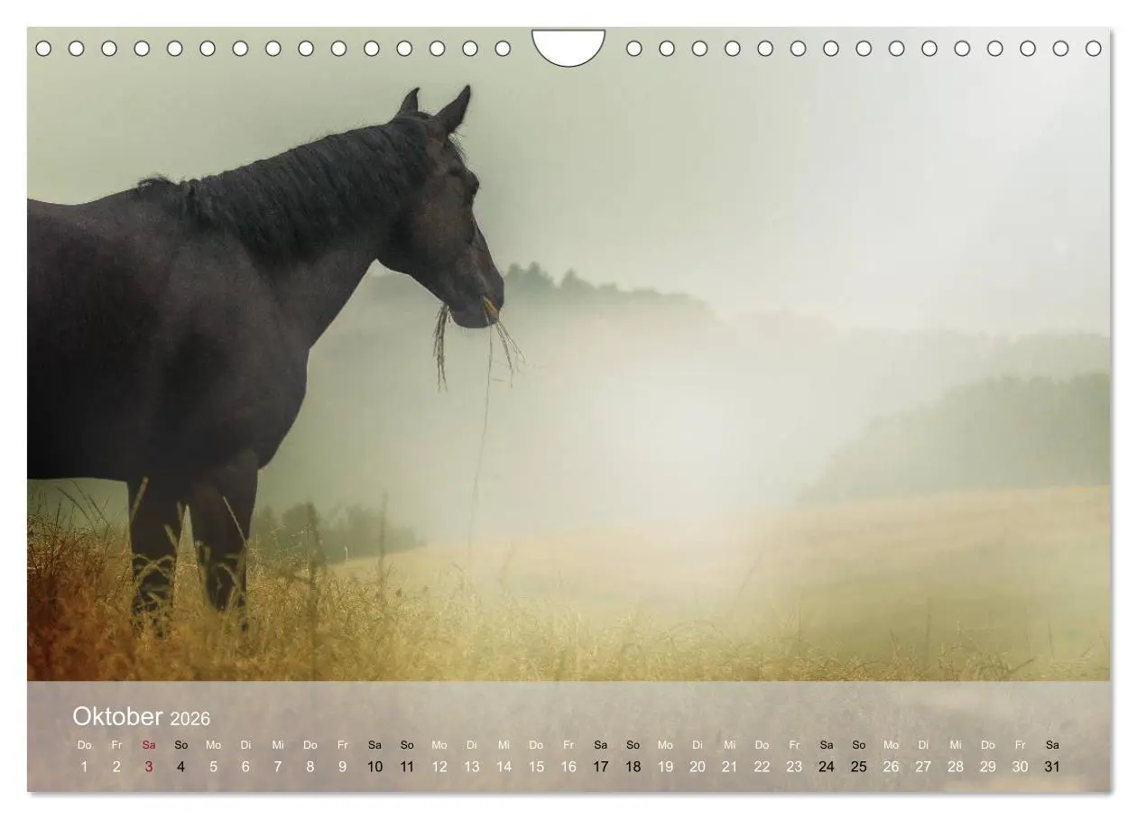 Bild: 9783516116663 | Pferde - Anmut und Stärke gepaart mit Magie (Wandkalender 2026 DIN...