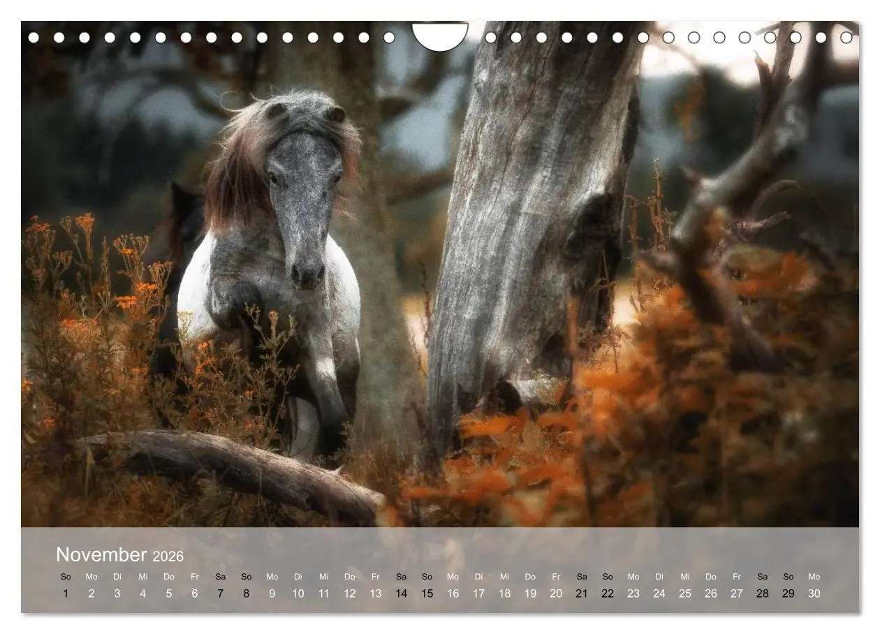 Bild: 9783516116663 | Pferde - Anmut und Stärke gepaart mit Magie (Wandkalender 2026 DIN...