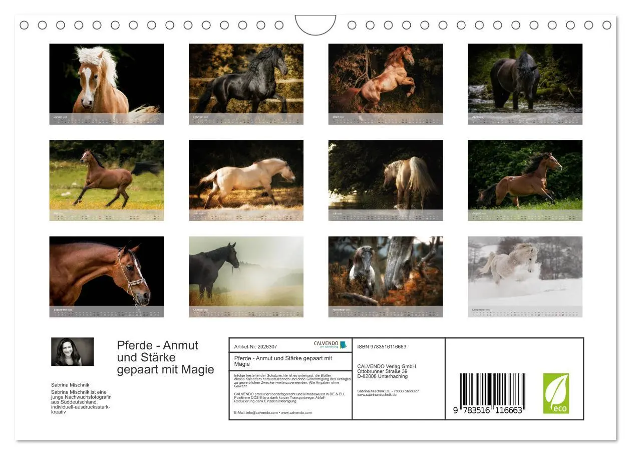 Bild: 9783516116663 | Pferde - Anmut und Stärke gepaart mit Magie (Wandkalender 2026 DIN...